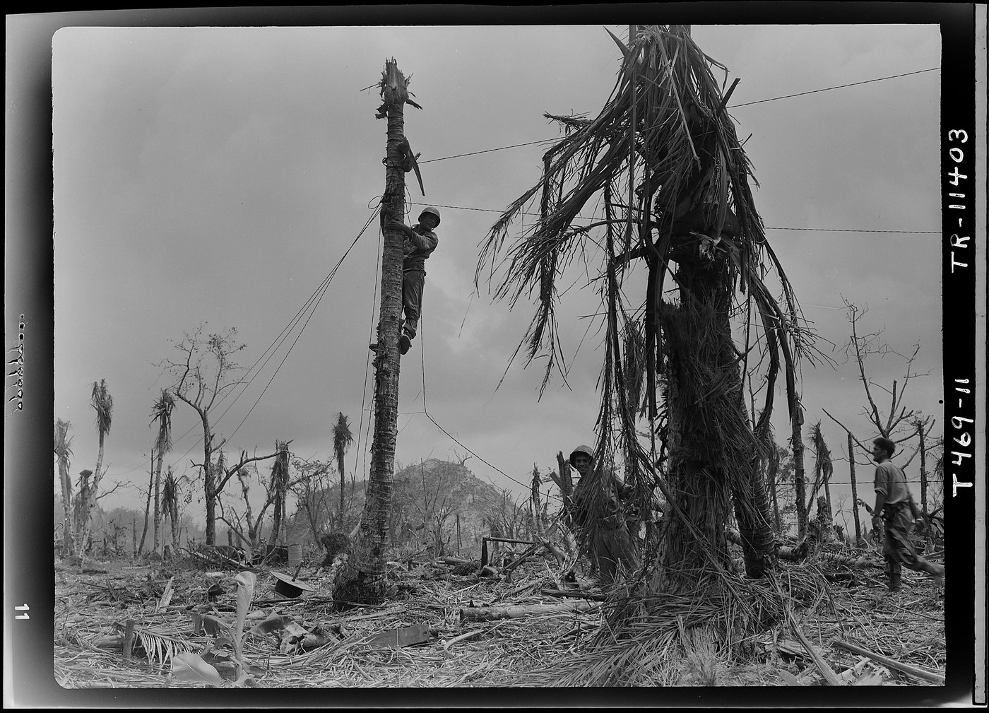砲爆撃で裸になった島（1944年）