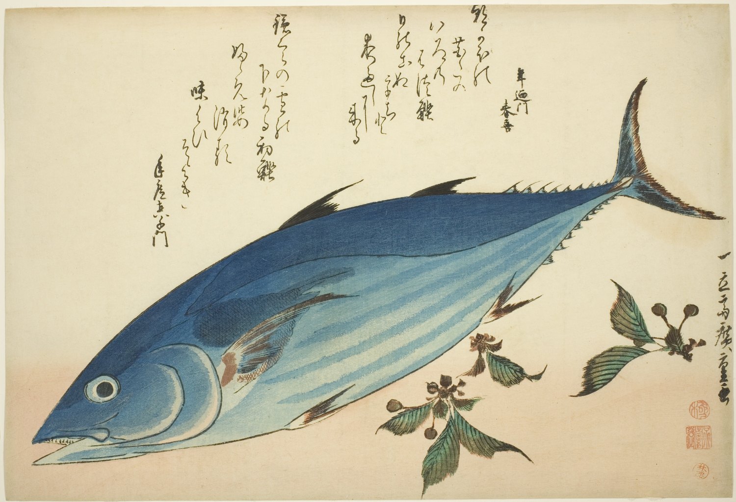 魚づくし「鰹」