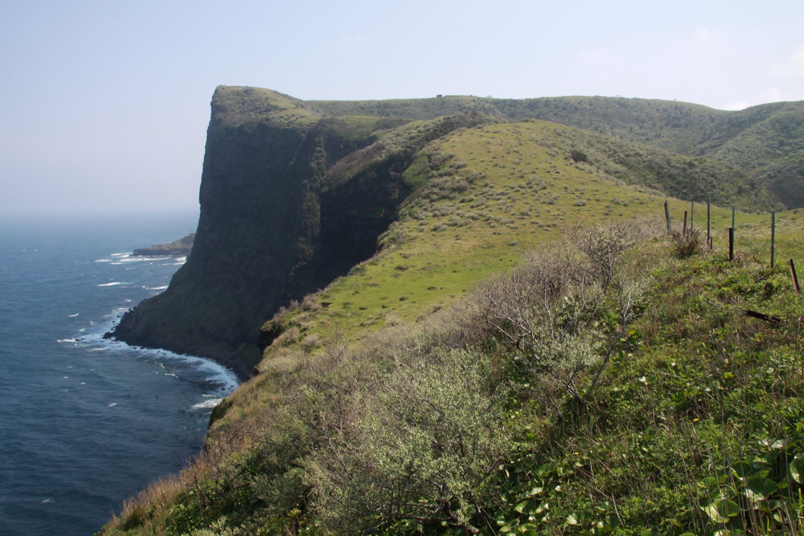 西ノ島・摩天崖の断崖と草原（現在）